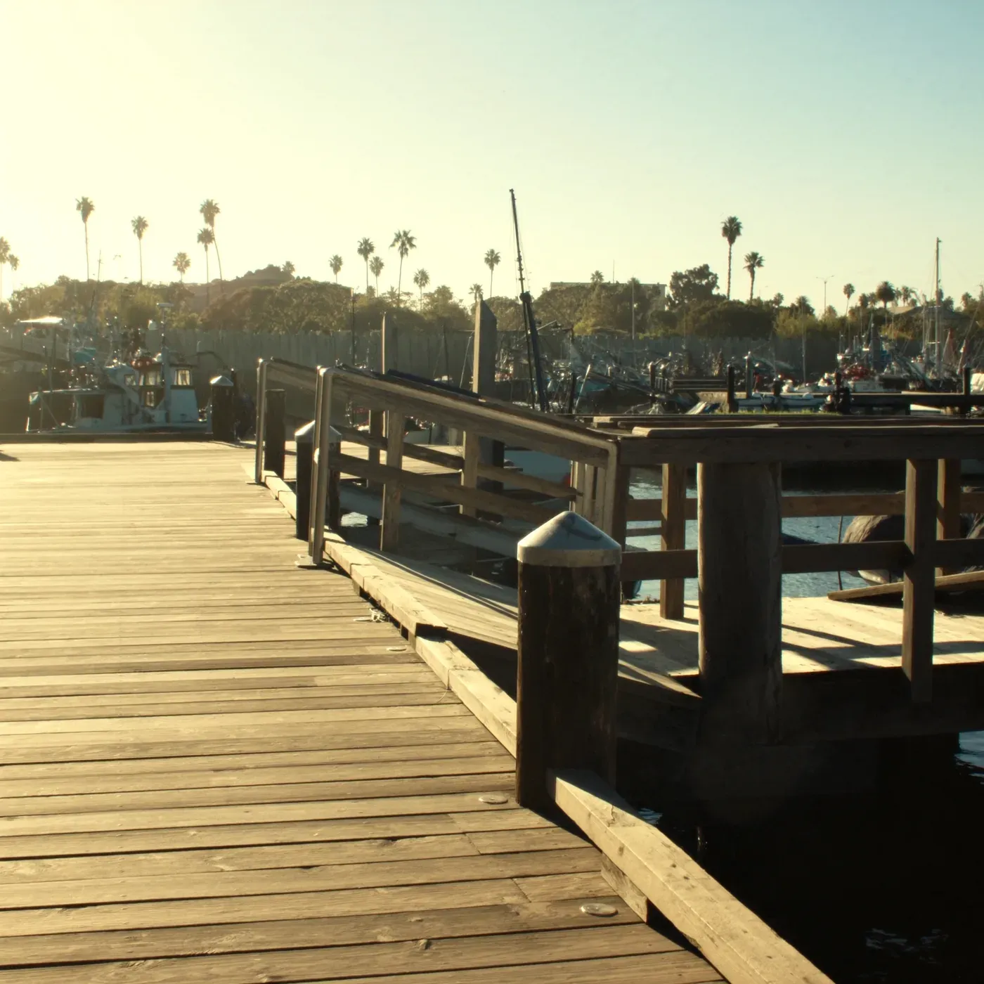 Illustrated coastal scene evoking USA, home of Siesta Co