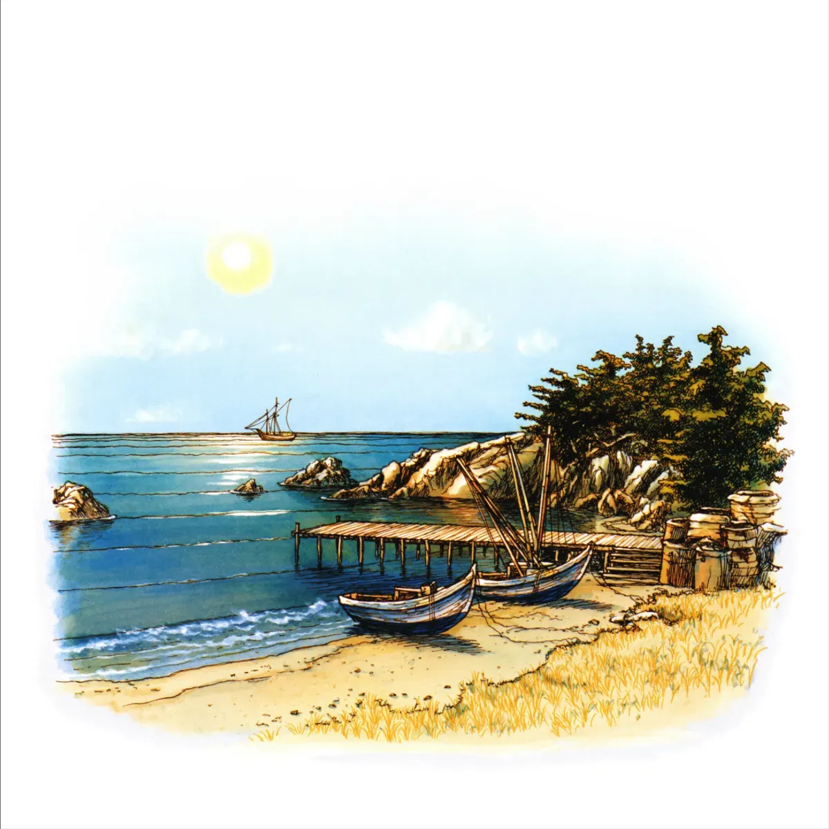 Illustrated coastal scene evoking USA — the home of Wild Planet