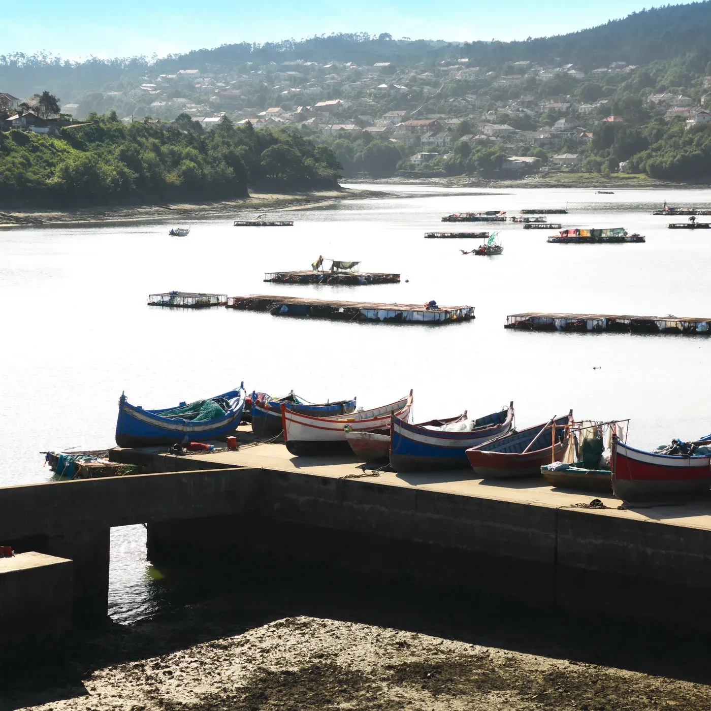 Illustrated coastal scene evoking Spain, home of Conservas de Cambados