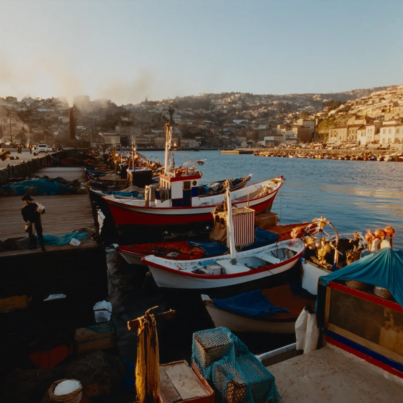 Illustrated coastal scene evoking Portugal, home of Iconic Sardine