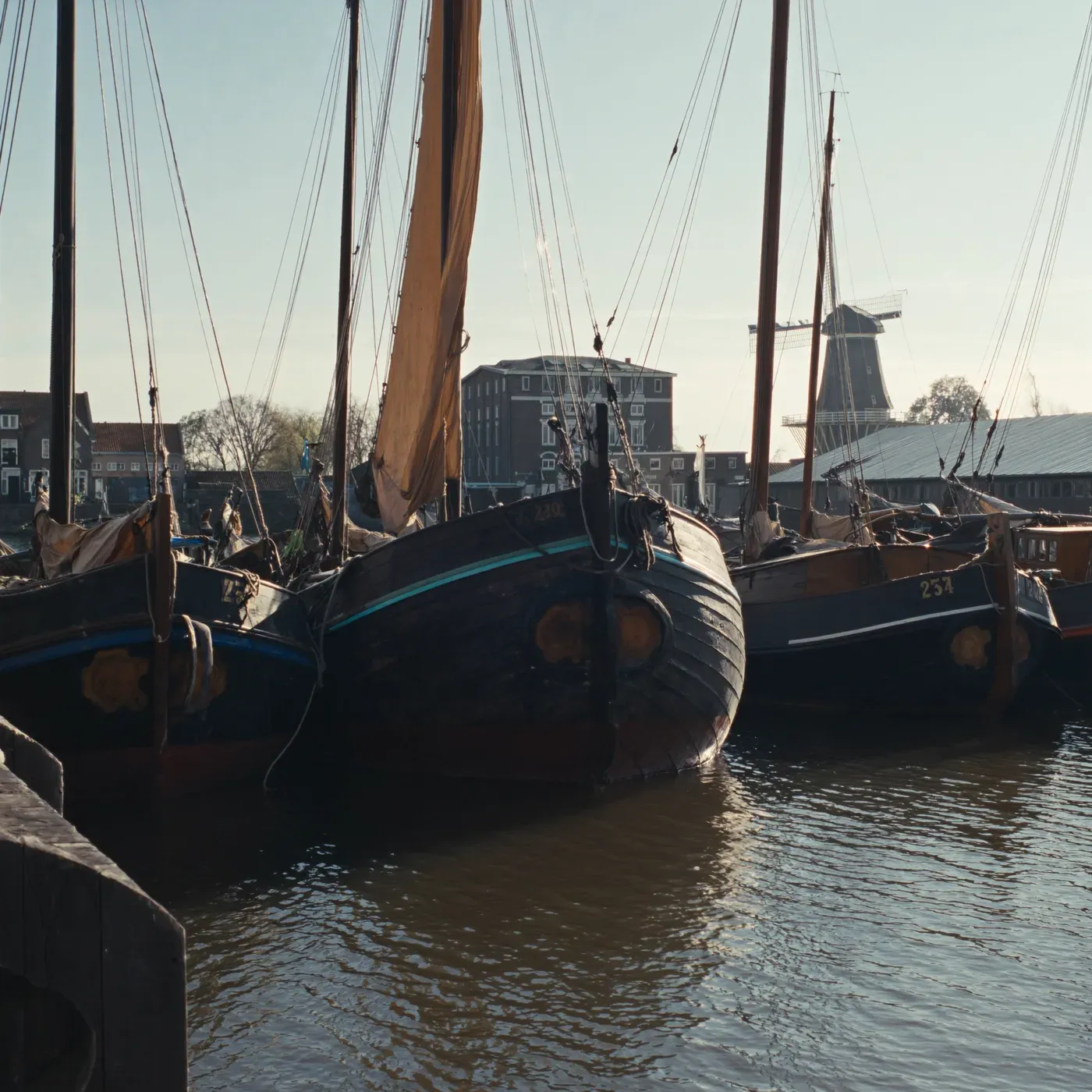 Illustrated coastal scene evoking Netherlands, home of Sea Tales